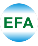 LIGA EFA